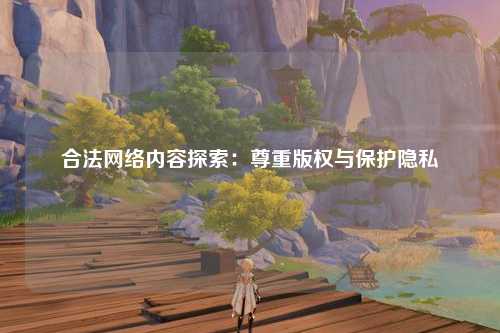 合法网络内容探索：尊重版权与保护隐私